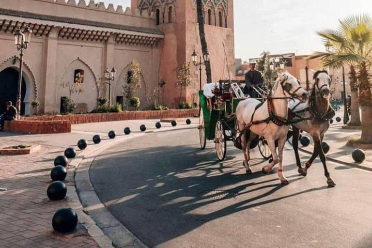 Merveilles de Marrakech : Souks et monuments dévoilés