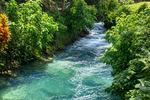 Negril, Lucea & Green Island: Benta Falls & Roaring River Green Island – Benta Falls & Roaring River Private Adventure
