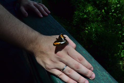 Luxury Private Iguazu Falls Tour – Argentina & Brazil