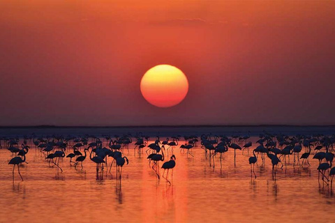 Cappadocia: Salt Lake Golden Hour & Sunset Tour