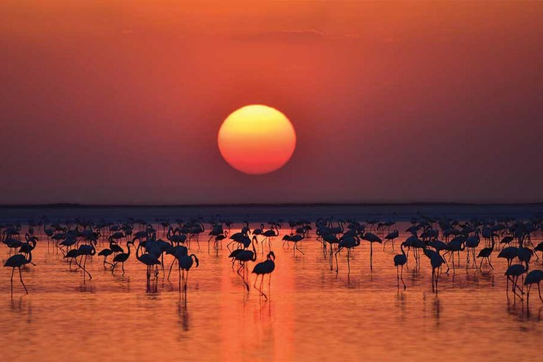 Cappadocia: Salt Lake Golden Hour & Sunset Tour