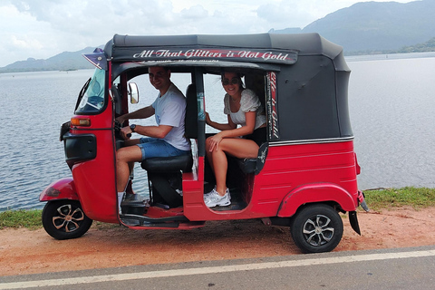 From Kandy: Hidden Temples, Elephants & Sigiriya Experience Tuk Tuk Option