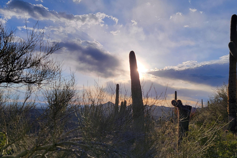 Phoenix: ATV Tour with Panoramic Views ATV Tour with Panoramic Views 2-Seater (Driver Only)