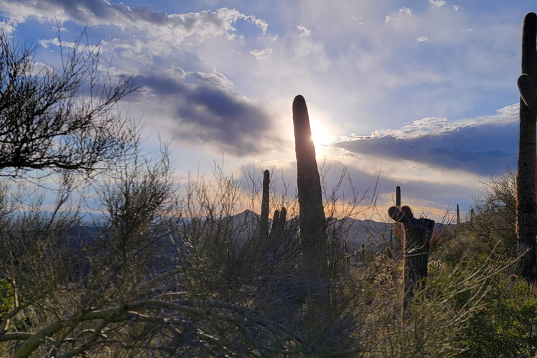 Phoenix: ATV Tour with Panoramic Views ATV Tour with Panoramic Views 2-Seater (Driver Only)