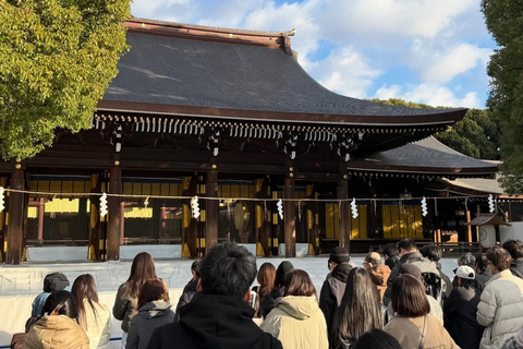 Tokyo Luxury Private City Tour Customizable with Guide