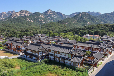 Seoul: Private Easy DMZ Tour | Family & Seniors DMZ Odusan Observatory (EASY)