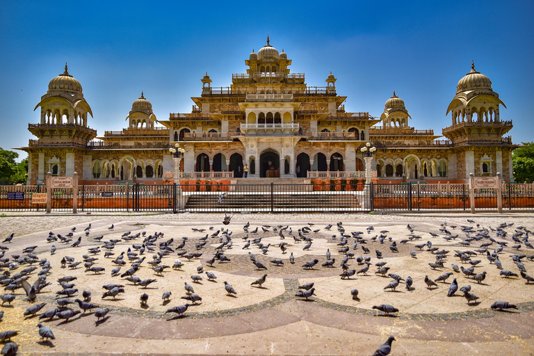 Jaipur Pink City Heritage Tour: Mit dem Auto und Guide buchen