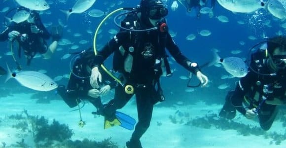 Sliema : expérience de plongée sous-marine SSI pour débutants