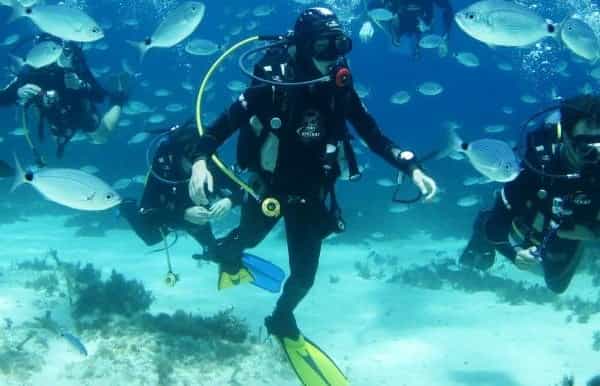 Sliema: SSI Try Scuba Experience for Beginners