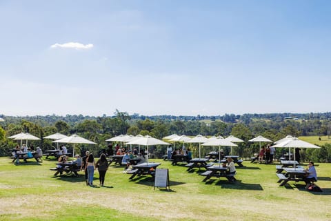 Brisbane: Moreton Bay Winery & Brewery Tour with Lunch