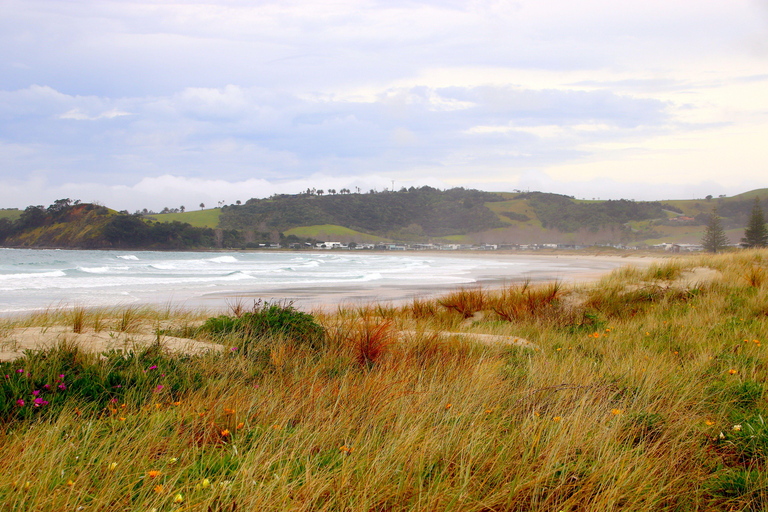Auckland: Matakana Village, Omaha Beach, & Honey Tour
