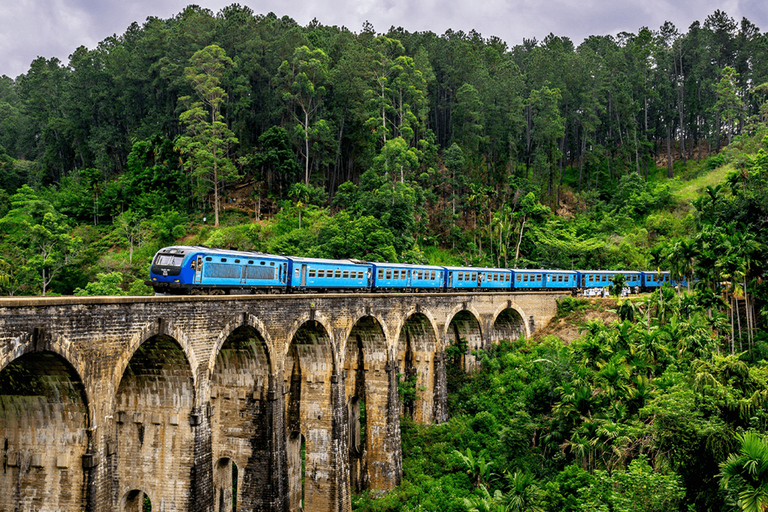 Sri Lanka: 8 Days Sri Lanka Highlights Private Tour 8 Days Tour with Car