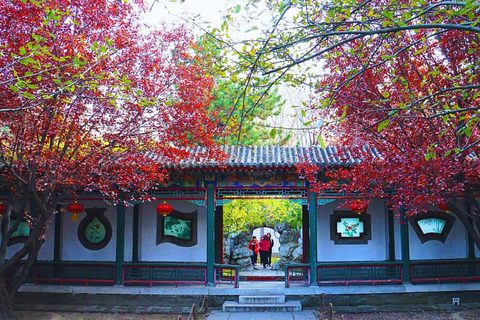 شنغهاي: جولة نصف يوم بالدراجة الكلاسيكية في البلدة القديمة (خيار ليلي)