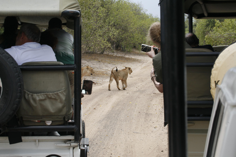 Viagem de 1 dia prolongado ao Chobe