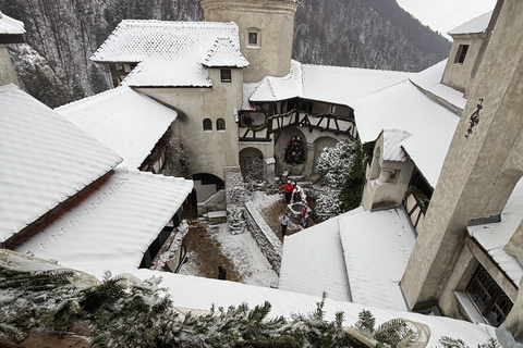 Brașov: Bran Castle, Bear Sanctuary, & Râșnov Citadel Tour