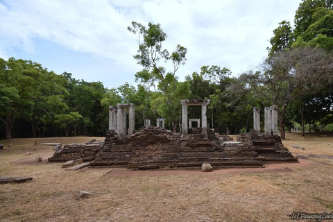 Sri Lanka: Viaje de 12 días para descubrir su rico patrimonio