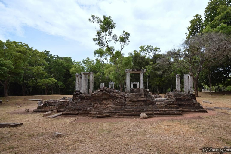 Sri Lanka : 4-tägige Tour durch das Kulturdreieck mit 3 Nächten und 4 Tagen