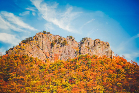Naejangsan: Hoogtepunt van een Koreaanse herfst dagtrip vanuit SeoulRetourvlucht vanaf Myeongdong Station Exit 3