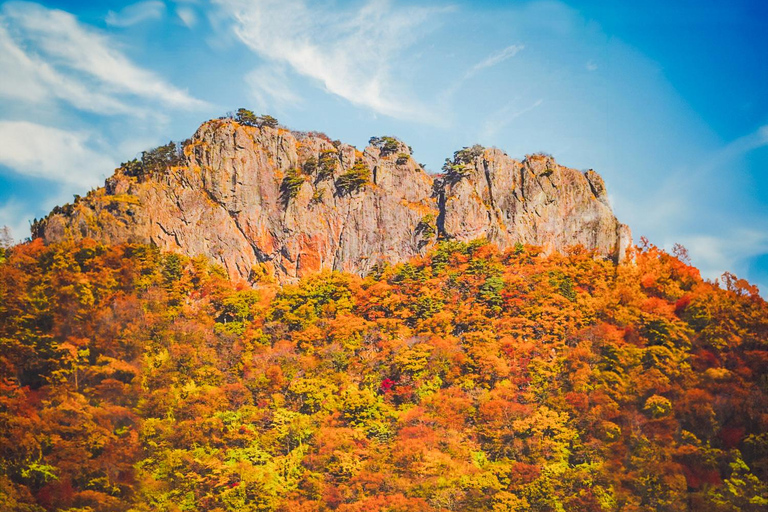 Naejangsan: Hoogtepunt van een Koreaanse herfst dagtrip vanuit SeoulRetourvlucht vanaf Myeongdong Station Exit 3