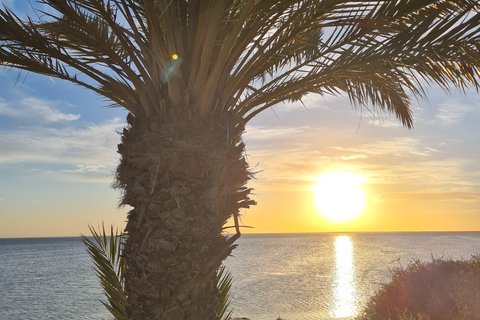 Authentic Djerba: Underground Oil Mill, Palm Grove, Pottery & Mosque