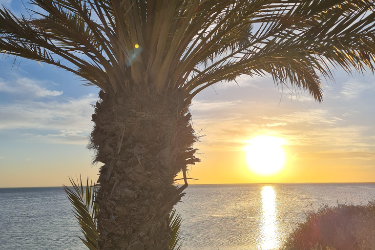 Authentic Djerba: Underground Oil Mill, Palm Grove, Pottery & Mosque