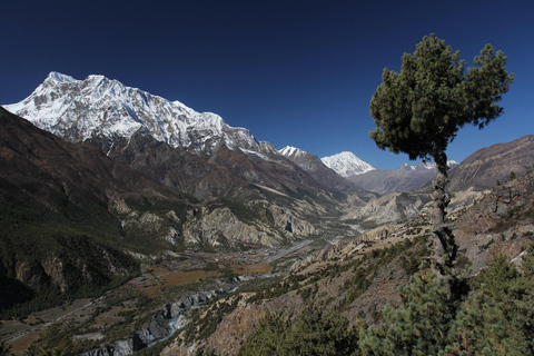 Kort vandring på Annapurna Circuit - 6 dagarJomsom Pokhara Flyg ingår