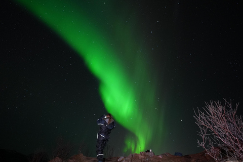 Da Tromsø: Tour dell&#039;aurora boreale con bevande calde e foto