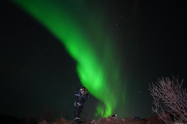 Desde Tromsø: Excursión a la Aurora Boreal con bebidas calientes y fotos