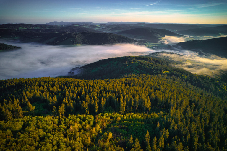 From Basel: Day trip Black Forest culture and indulgence