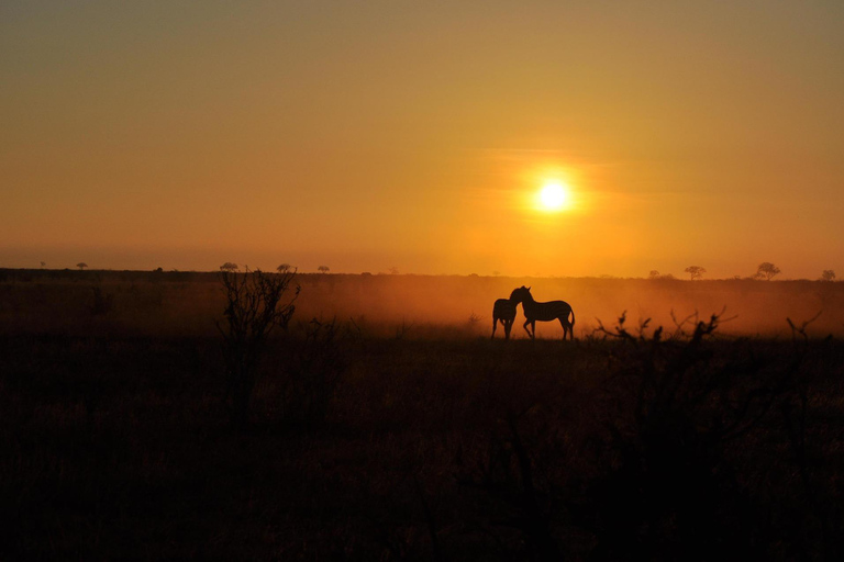 Tsavo Express 3 Days/ 2 Nights ( Comfort)