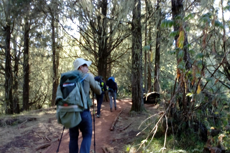 3 day Kilimanjaro trekking experience on the Machame route.