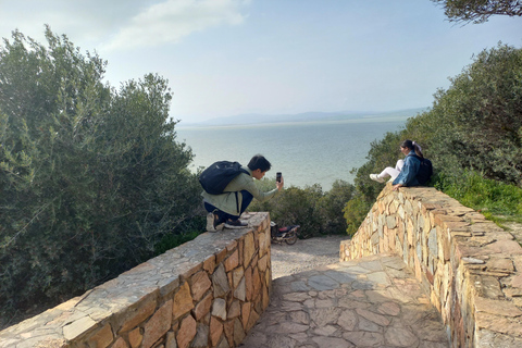 Tunis: 2-Day North Africa Highlights Tour & 1-Night Tabarka