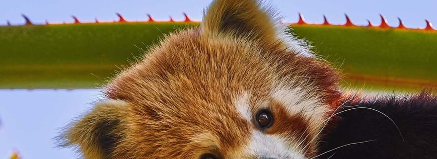 Billets d'entrée coupe-file à Aventura avec entrée coupe-file