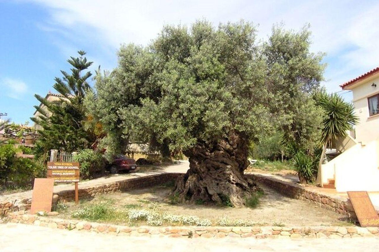 De Chania: Tour de degustação de azeite de oliva, vinho, queijo e mel