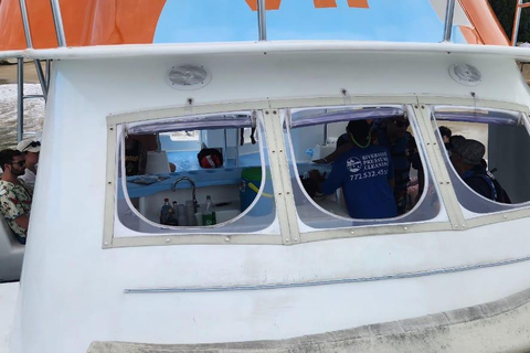 Puerto Plata: Party Catamaran to Sosua Bay Puerto Plata: Party Boat Catamaran to Sosua Bay