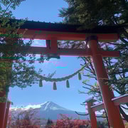 Desde Tokio: 14 días de Tour Privado por Japón con Hotel y Comidas