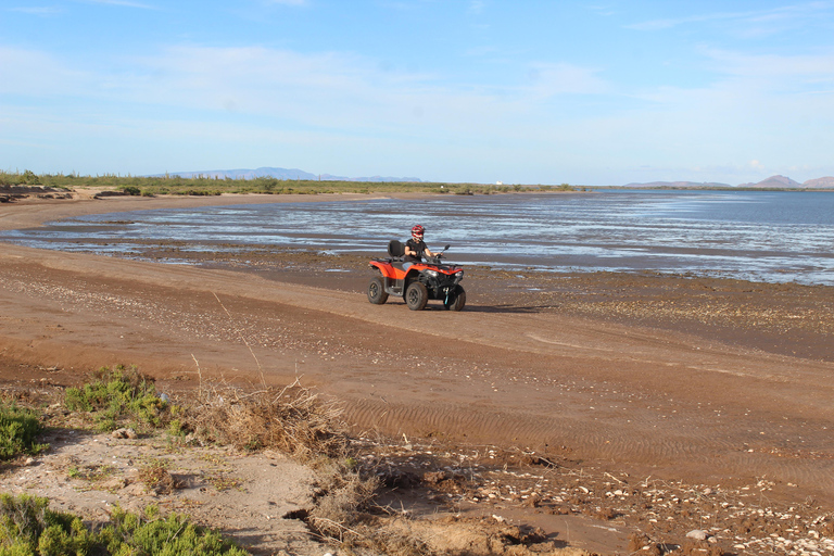 La Paz: ATV Route to Comitan and El Mogote Dunes La Paz: ATV Route to Comitán and El Mogote Dunes