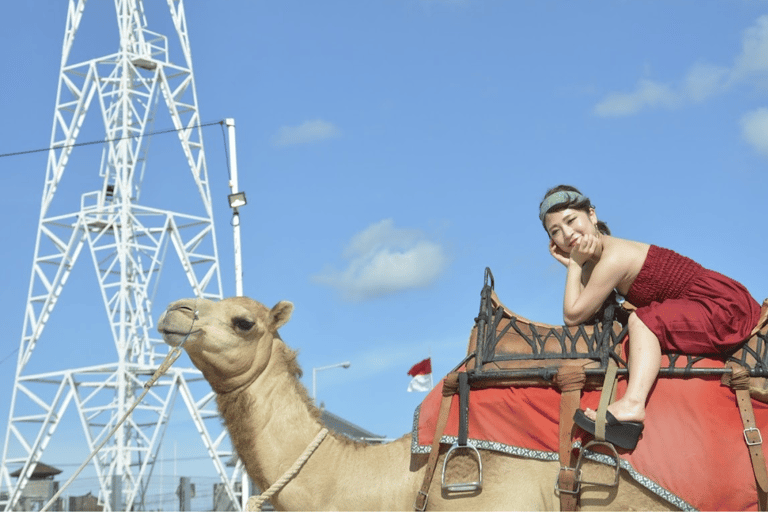 Bali: Kelan Beach Camel Rides Experiences30 Minutes Ride