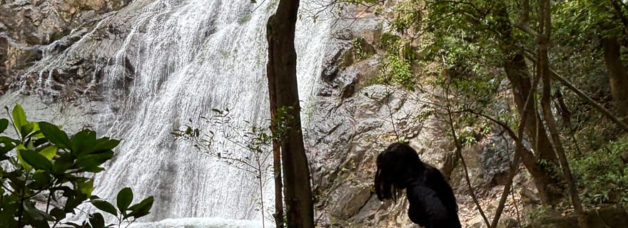 Randonnée pédestre avec transport inclus