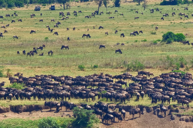 Serengeti : 4 jours d'expédition privée de luxe pour les Big Five