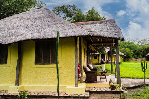 Depuis Zanzibar : Safari de nuit dans le Selous G.R. avec volssafari partagé