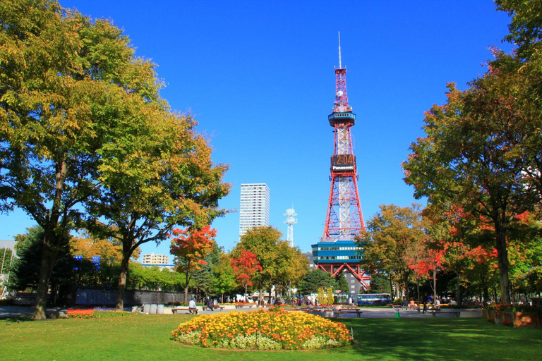 Sapporo: Custom Night Tour with Local Guide