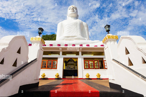 Kandy &amp; Pinnawala: Ontdek cultuur &amp; natuur in een dagtour...