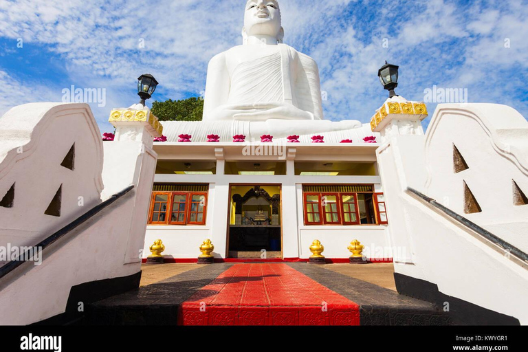 Kandy e Pinnawala: Descubra a cultura e a natureza em uma excursão de um dia.