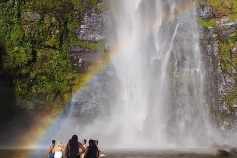 Regione di Volta; Santuario delle scimmie di Tafi Atome e cascata di Wli ...