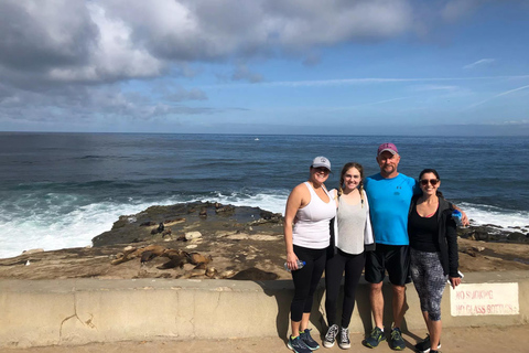 San Diego: Giro panoramico di La Jolla di 10 km