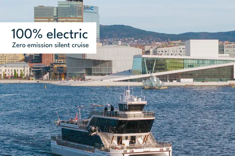 Oslo: Fjordrondvaart met gids op premium stille boot