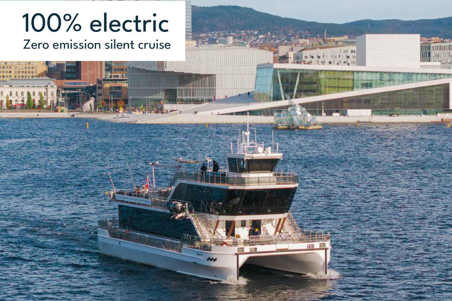 Oslo: Guided Sightseeing Fjord Cruise on Premium Silent Boat - Oslo: Guided Sightseeing Fjord Cruise on Premium Silent Boat