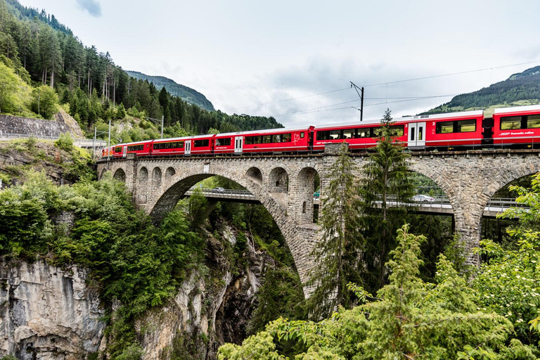 UNESCO Rhaetian Railway: Viaduct, Train Museum, St. Moritz Group of 8 Excluding Train Tickets