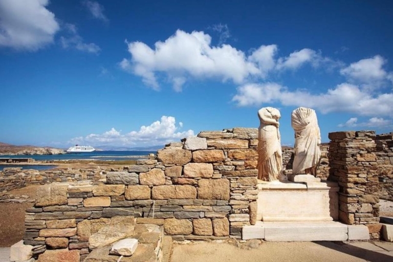 Delos and Mykonos One Day Cruise from Naxos
